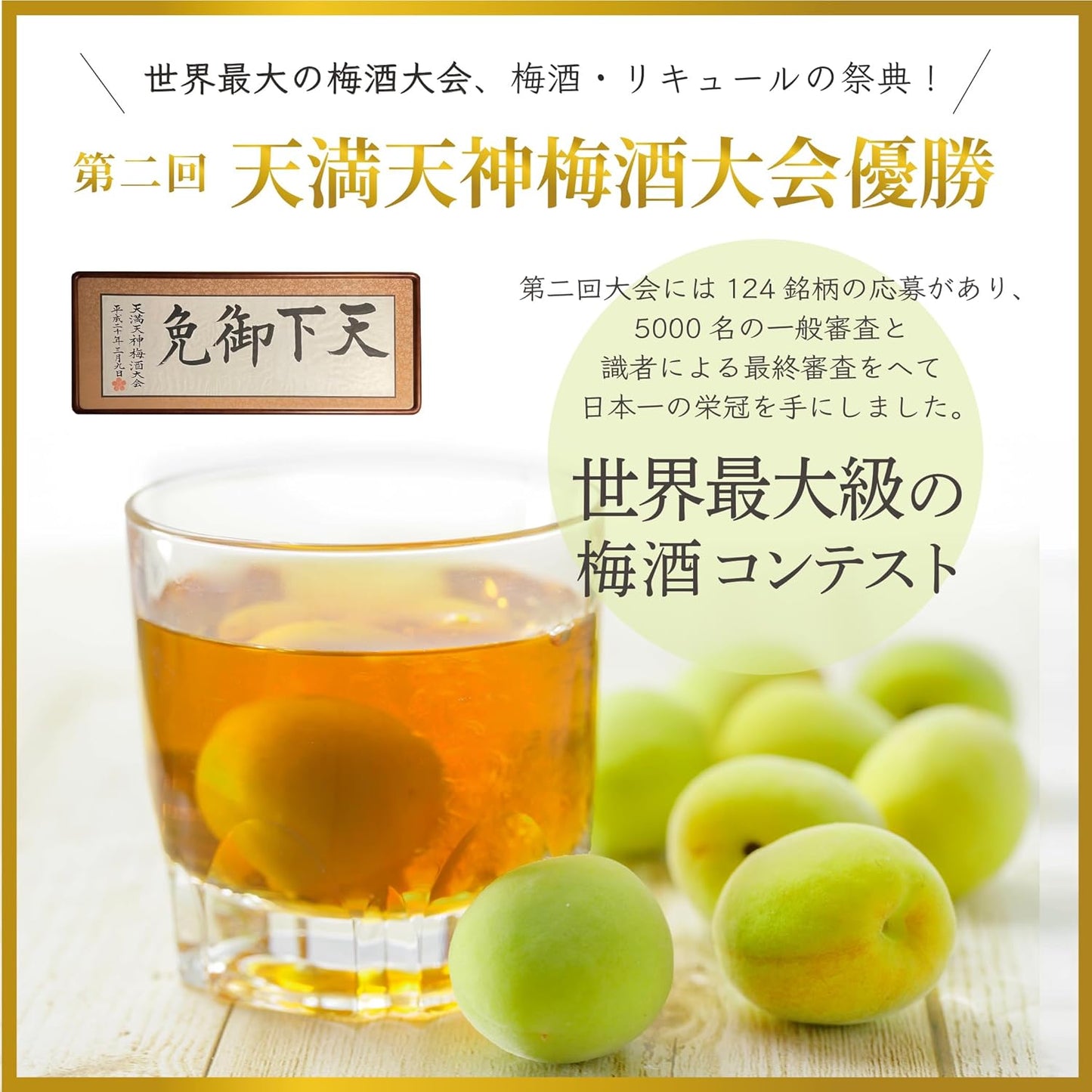 百年梅酒2種飲み比べ ギフトセット 720ml×2本 [百年梅酒＆百年梅酒 すっぱい完熟にごり仕立て]