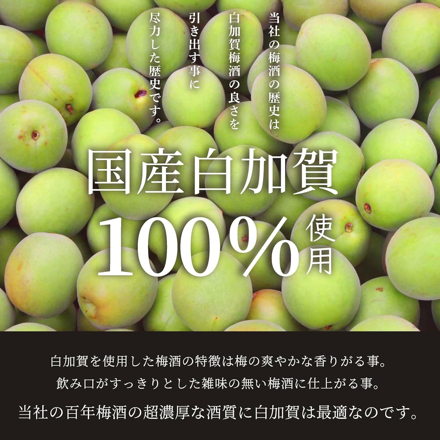 百年梅酒 CLASSIC 1000ml